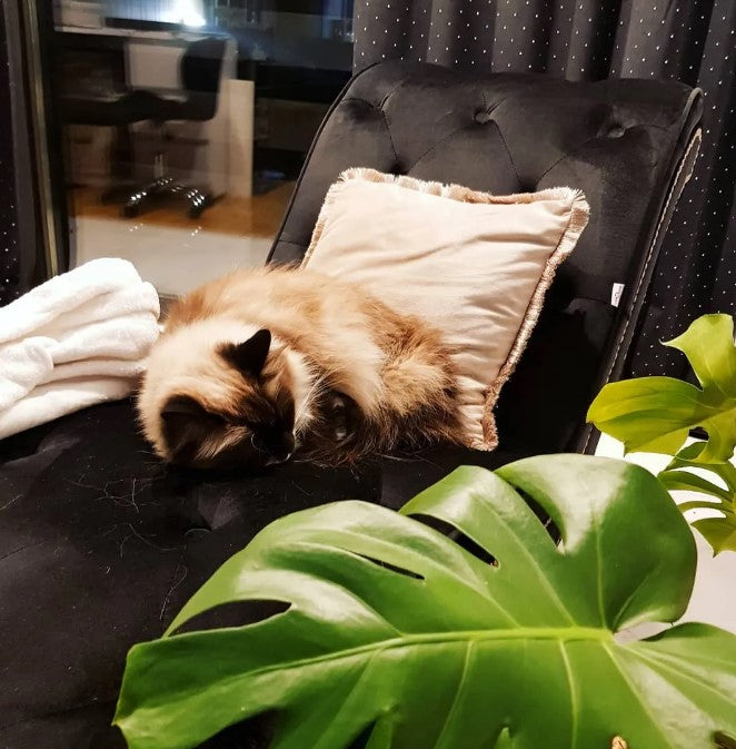 Ανάκλινδρο Καναπές