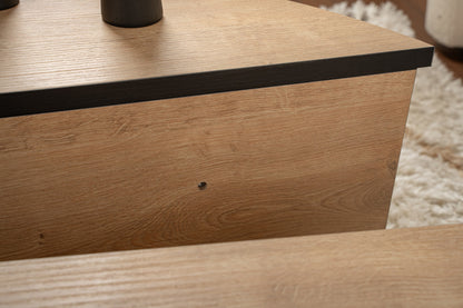 Τραπεζάκι Σαλονιού Δρυς Honey - Μαύρο 90 x 60 x 30 εκ GR353NRD1119