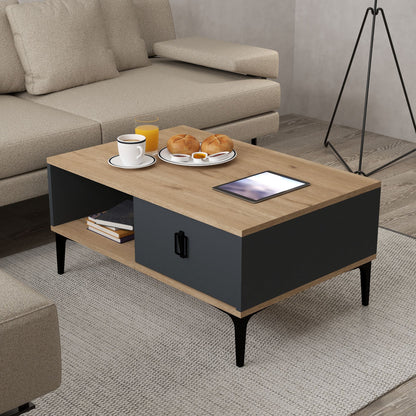 Τραπεζάκι Σαλονιού Δρυς Sapphire Ανθρακί 90 x 41,5 x 60 εκ. 707DWL1138