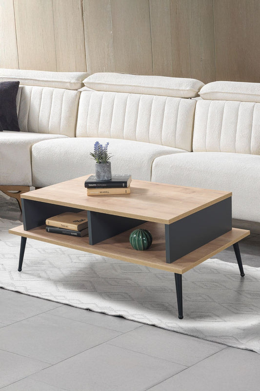 Τραπεζάκι Σαλονιού Δρυς Sapphire Ανθρακί 100 x 40 x 56 εκ. 707DWL1159