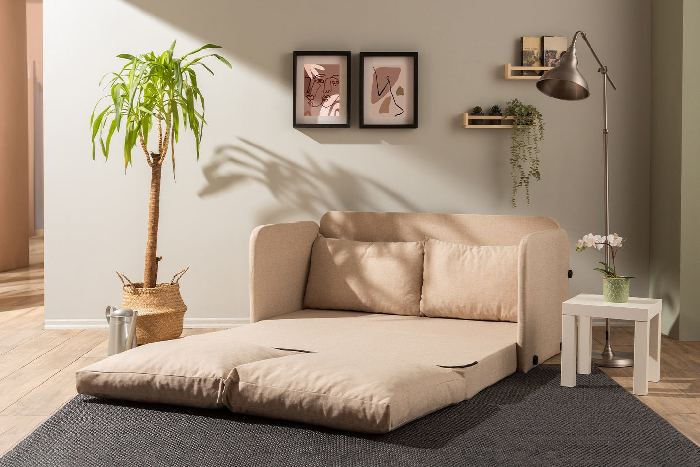 Διθέσιος Μετατρεπόμενος Καναπές | 859FTN2891